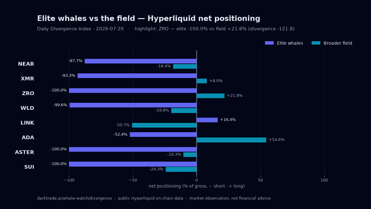 Are elite whales positioned against ZRO traders?